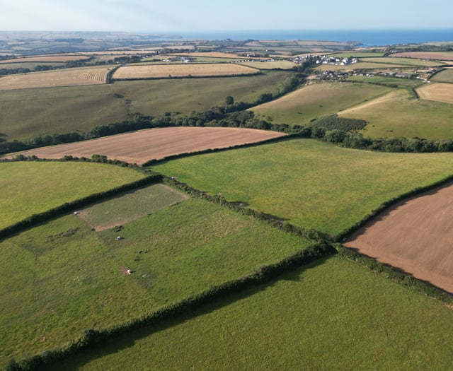 Public divided over wind turbine plan