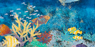 Explore nature's beauty: The Sacred Earth Exhibition opens 