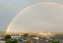 Dartmouth councillor vacancies available