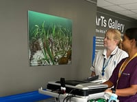 Explore Torbay: New HeArts Gallery exhibition opens 