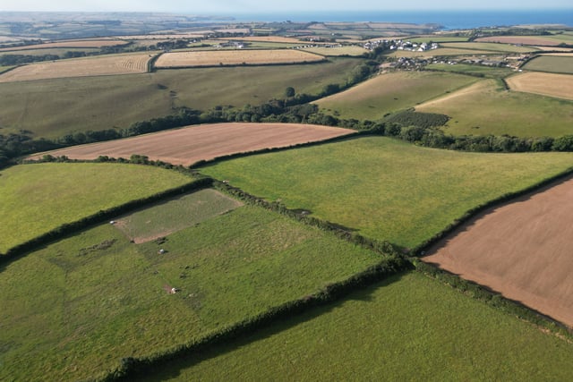 Why Octopus Energy Withdrew Bigbury Turbine