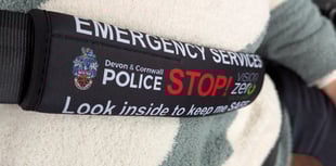 Free seatbelt covers for those with additional needs