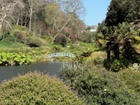 Nature Diary by Mike Hitch | Exploring Trebah and Glendurgan