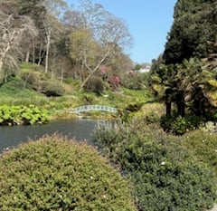 Nature Diary by Mike Hitch | Exploring Trebah and Glendurgan