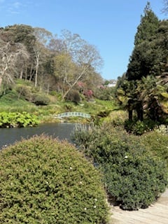 Nature Diary by Mike Hitch | Exploring Trebah and Glendurgan