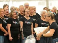 Choir to celebrate 10 years of hitting all the right notes