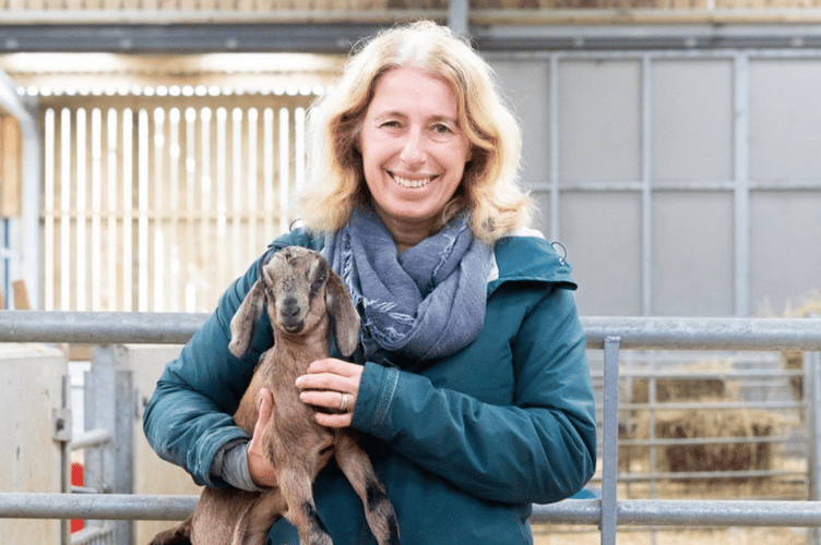 Stone Tree Dairy's Helen with goat.