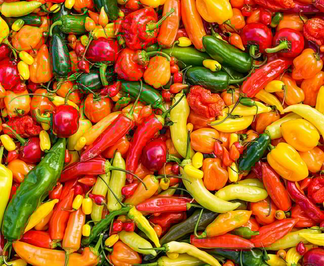 Renewable energy overtakes coal as top electricity source