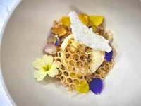 Totnes restaurant cooking up success for young chef