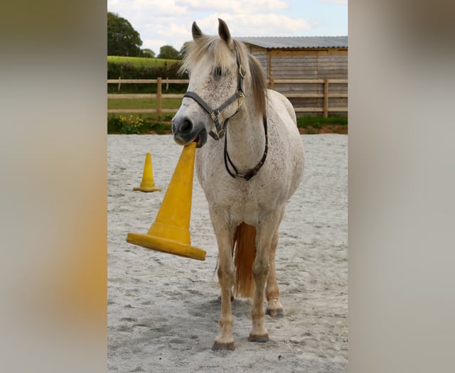 Sarah swims for Sirona