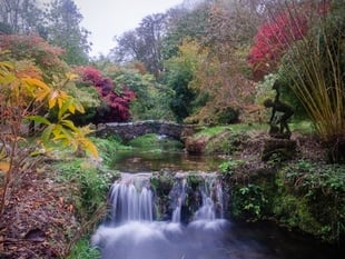 Lukesland Gardens reopens with art exhibition