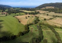 More green space in South West Devon than English average