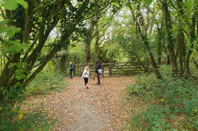 Family in the Woods - Alice Henderson