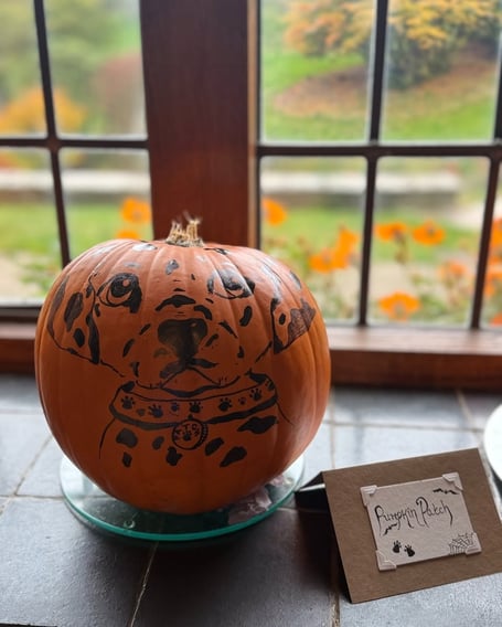 Seasonal visitor at Coleton Fishacre