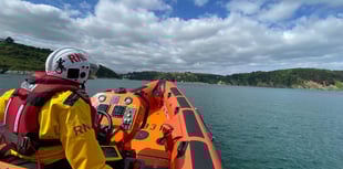 Dartmouth RNLI rescues dog and owner 