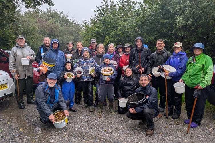 Andrews Wood Seed Collecting Sept 25 Moor Trees