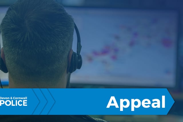 APPEAL: Police are looking for witnesses to an assault in Brixham