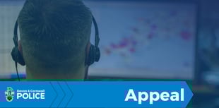 Witness appeal after Plymouth assault