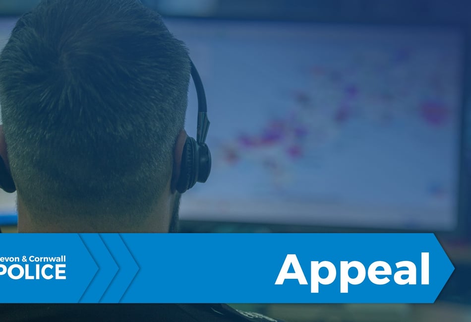 APPEAL: Police are looking for witnesses to an assault in Brixham