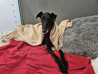 Plymouth shelter struggles with soaring bills