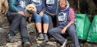 Dart Harbour partners with Till the Coast is Clear 