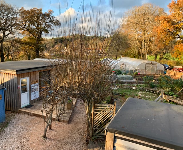 LandWorks in Dartington offers festive gifts made by ex-prisoners