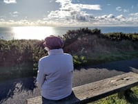 Nature Diary by Fiona van Es | A Healthy Dose of ‘Doctor Sea’