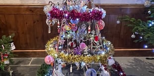 Malborough's Christmas Tree Festival brings light and joy 