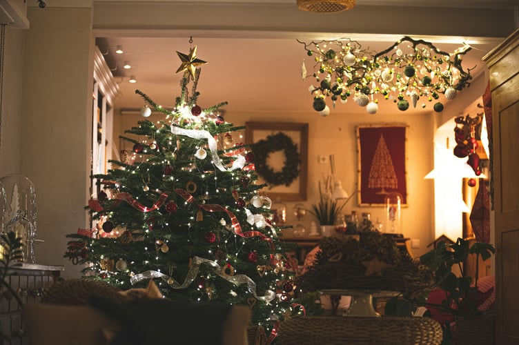 A beautiful Christmas tree