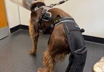 How Starlord saved his tail!