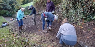 Nature Diary by Fiona van Es | Dirty work for willing hands