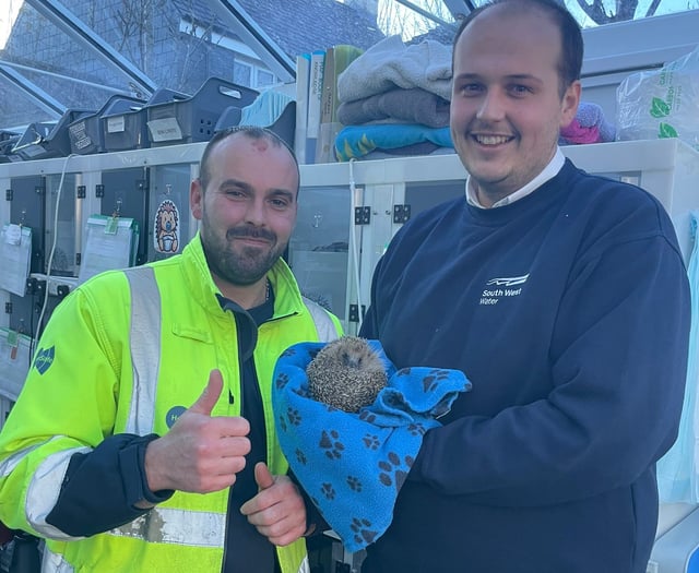 Devon Water Workers Rescue Hedgehog