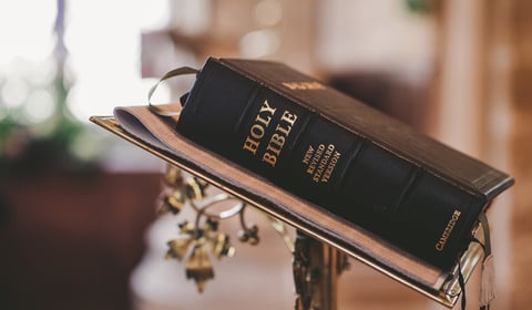 Christian Comment by Suzy Andrews |  Co-Authors' Insights