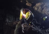 Lifeboat rescues dog from rocks