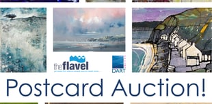 Dart Gallery's 2025 auction raises nearly £6k for Flavel