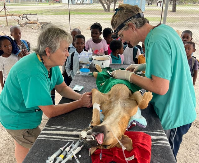 Lilly Cross' Botswana Vet Trip
