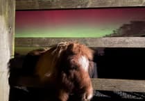 Spectacular Northern Lights over Totnes Sanctuary