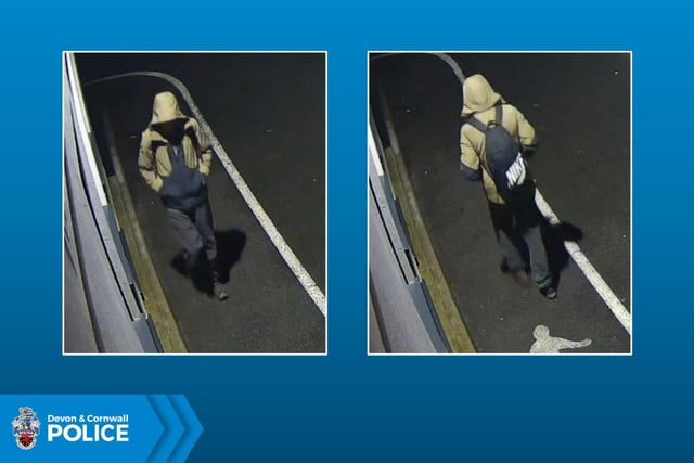 Devon and Cornwall Police seek witness in fatal Ashburton collision