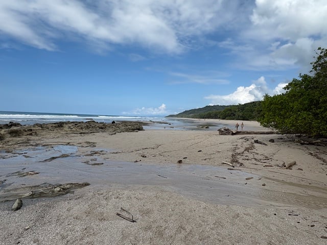 Nature Diary by Mike Hitch | costa rica's vibrant birdlife at curu