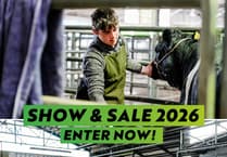 Enter Devon YFC's livestock show