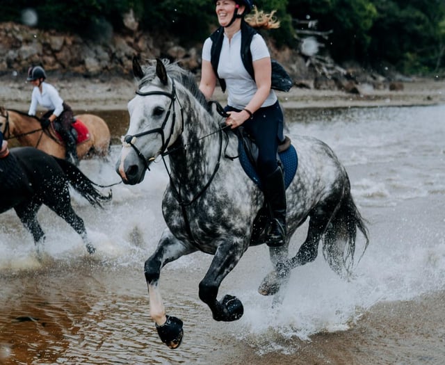 Tails From South Moor by Vet James McIntosh | Barney Trouble