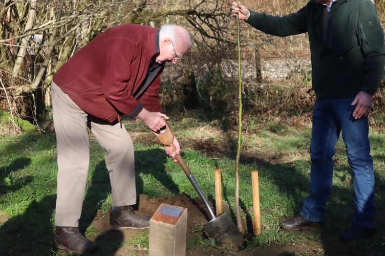 Spencer Keys, retired tree warden for Staverton, had two trees planted for his dedication to tree preservation.