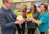 South Hams schools lead dental health initiative