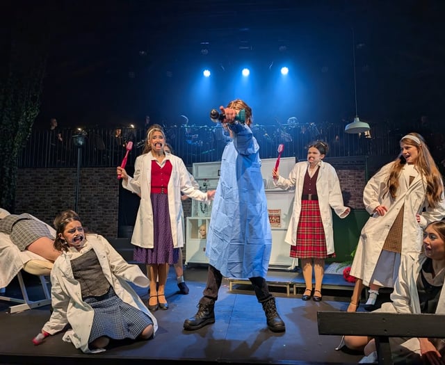 Ivybridge students shine in Little Shop of Horrors production