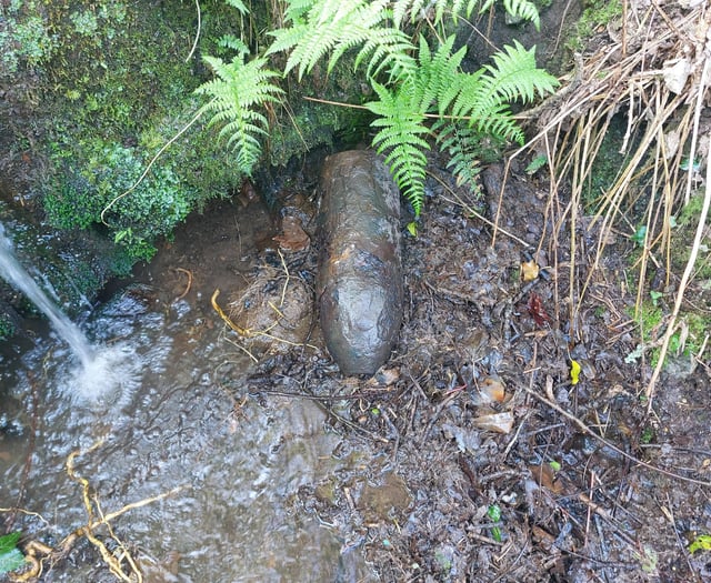 Three empty bombs found dumped in Hemerdon stream
