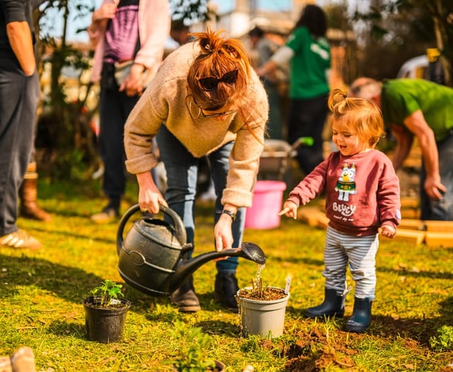 Devonport community rallies for Mount Wise garden restoration