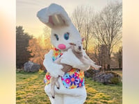 Four South Hams attractions to see baby animals this Easter