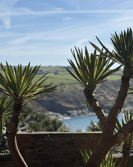 A view from Overbecks