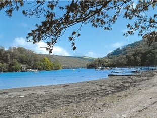 Agatha Christie's Greenway estate battles conservation challenges
