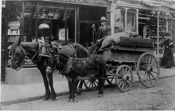 Richard West, Loddiswell carrier to Kingsbridge in wagon drawn by pony and donkey